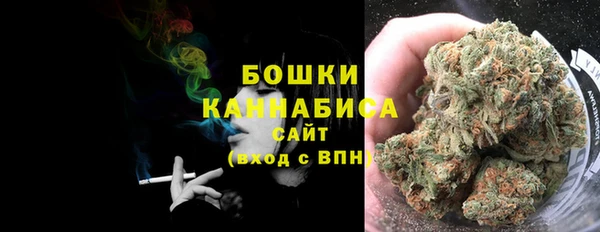 МДПВ Бронницы