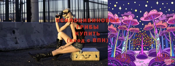 скорость Верхний Тагил