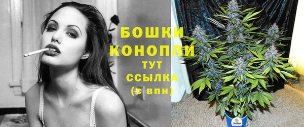 спайс Бородино