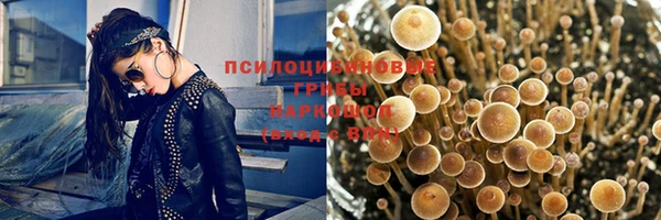 МДПВ Бронницы