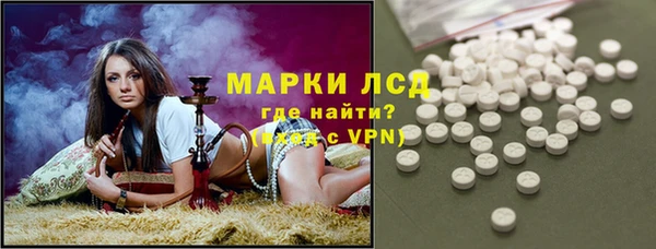 спайс Бородино